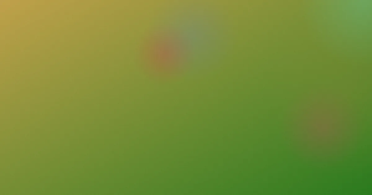 白丝tk测评：新手避坑问答